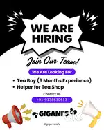 Tea boy required for irani tea