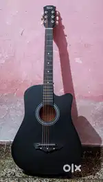 Acoustic Guitar