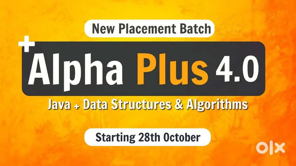 Alpha Java DSA course (placement)