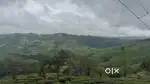Land/Plot for sale in Vagamon