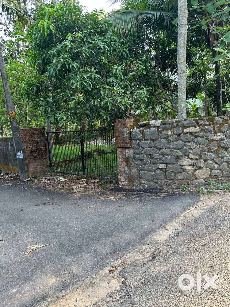 Plot for sale at Alathara, at Durga Resid Asso 12/Cent
