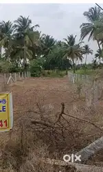 10 cent available...Per cent price 7 lakhs... little bit negotiable