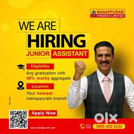 Cashier accountant