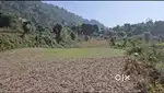Residential plot at Naukuchiyatal Bhimtal