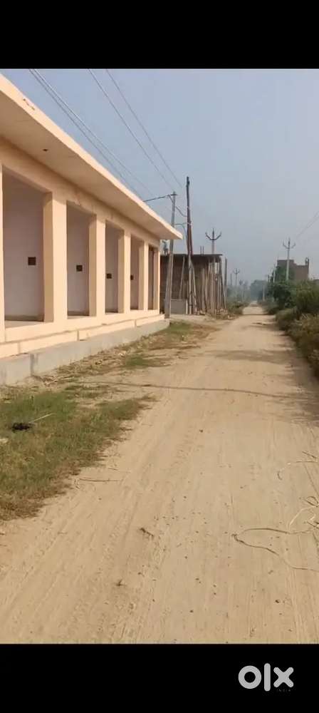 124.5x20 two shop Haldaur chorha, Near Bharat Petrol pump