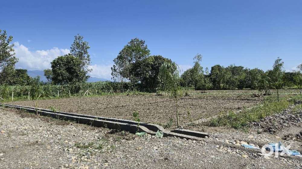 Residential Plots For Sale near UPES New Campus Jamnipur dehradun