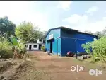 GODOWN WORKSHOP with ACCOMODATION of 4 INDIVIDUAL HOUSES in one plot