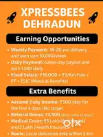 Parcel delivery job good earning