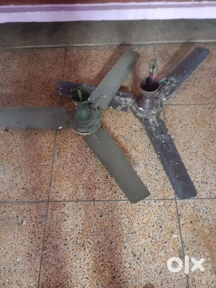 Do ceiling fan aur ek cooler bilkul sahi hai Achcha hai bilkul