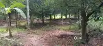 15 CENT LAND FOR SALE AT NEAR BESLAHAM