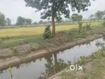 11 acres Agriculture land road touchtouch boindustrial and agricultura