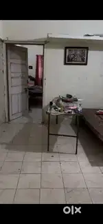 Need girls roomate