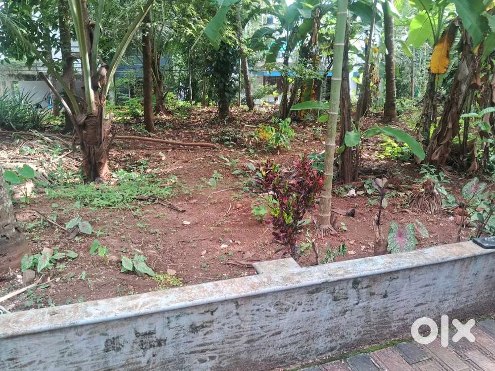 6 cent prime house plot second plot to chevarambalam cwrdm road bypass