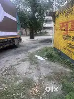 Arjent rent