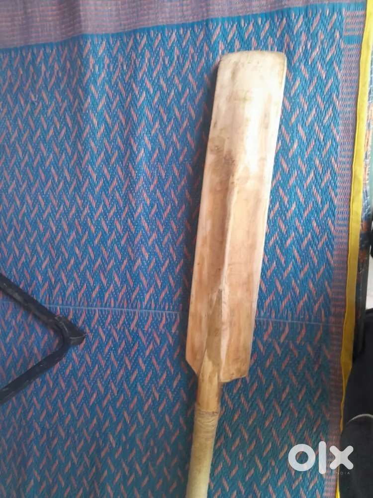 Mrf kashmir willow bat