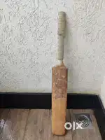 Cricket season bat