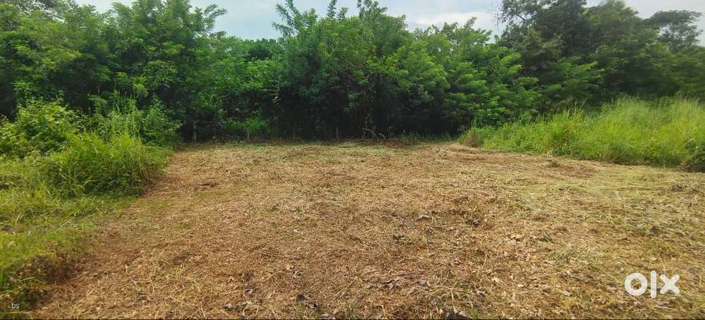 5 cent Plot for Sale in Muttikulangara, Palakkad