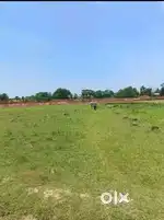 Plot for sale