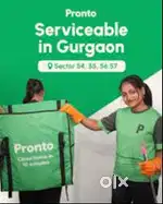 Female maid for pronto