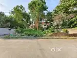 8.75 cent residential or semi commercial land for sale in kadavanthra
