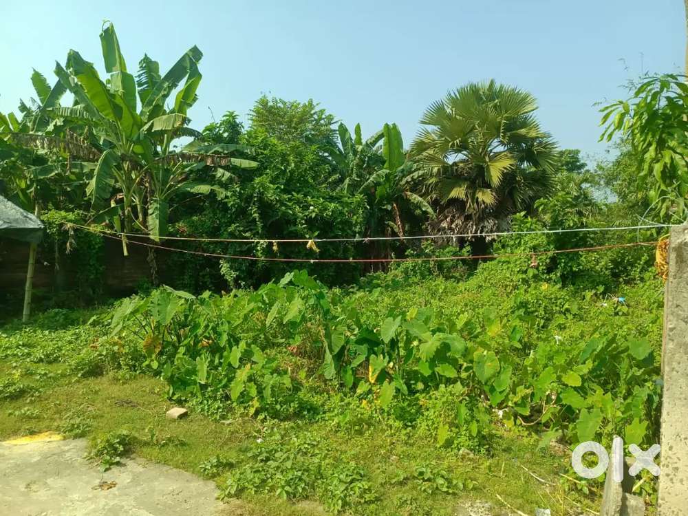 Plot Sale's