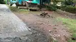 4 cent squre plot near Rajagiri hospital aluva