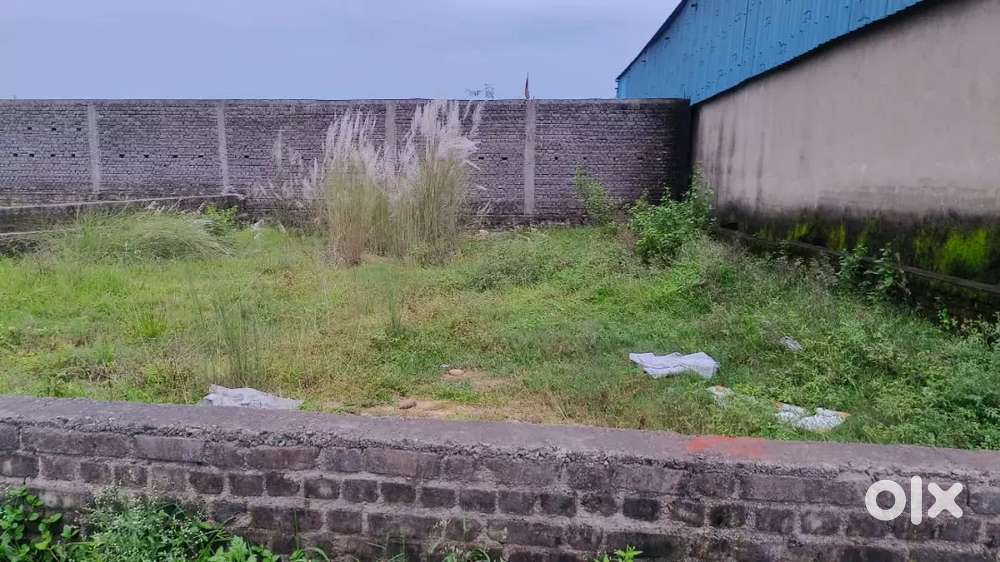 Plot selling in Panposh