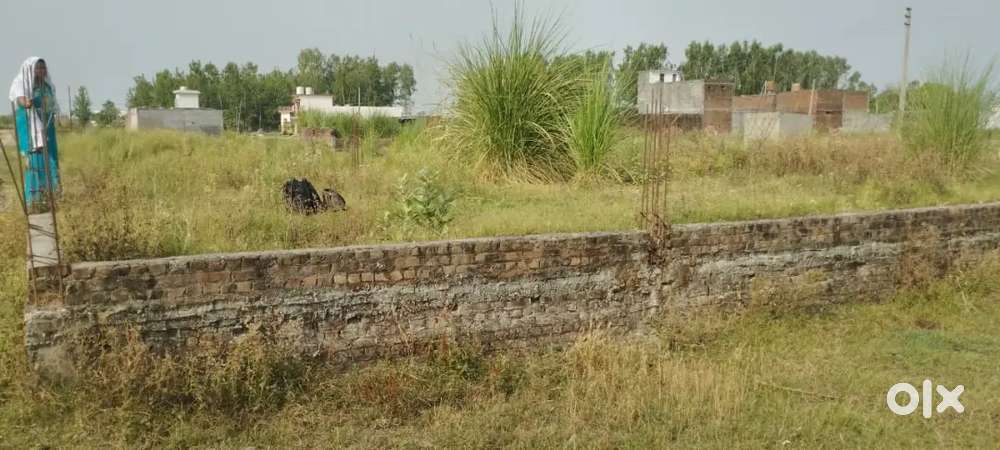 Plot at bhogpur Dhanauri patti kashipur uttrakhand