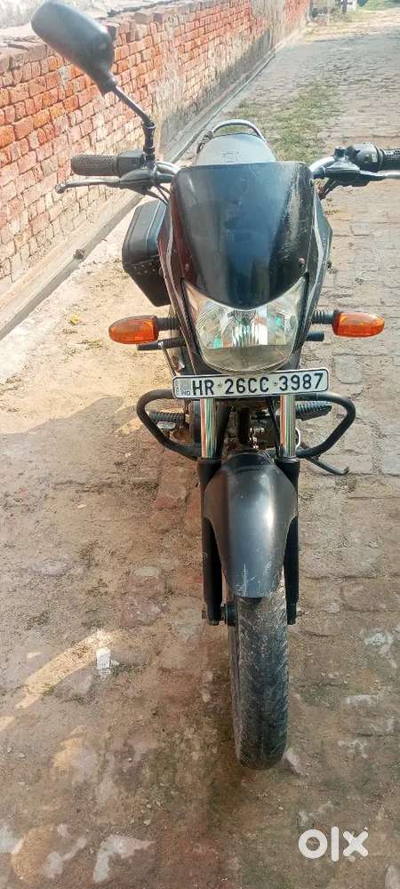 A one h or seelid enjan h