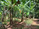 House Plot for Sale in Thrissur
