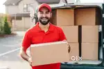 Van Delivery males - KK nagar (latha)