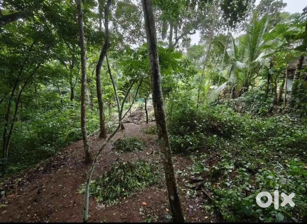 5 cent plot for sale