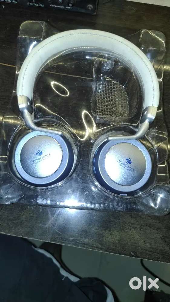 Zebronic headphone
