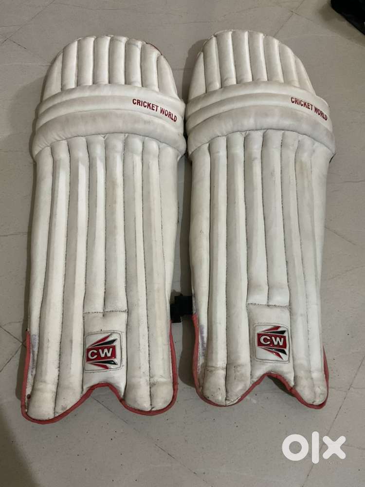 Cricket pads