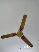 Crompton company celling fan
