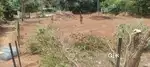 Near kozhikode way pass road