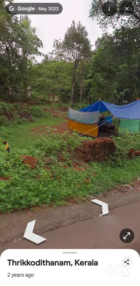 31 cent plot for sale