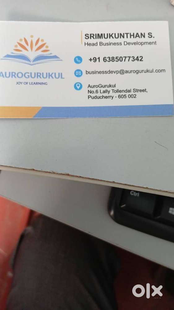 Sales and marketing executive/officer