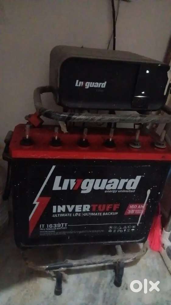 Liv guard inverter