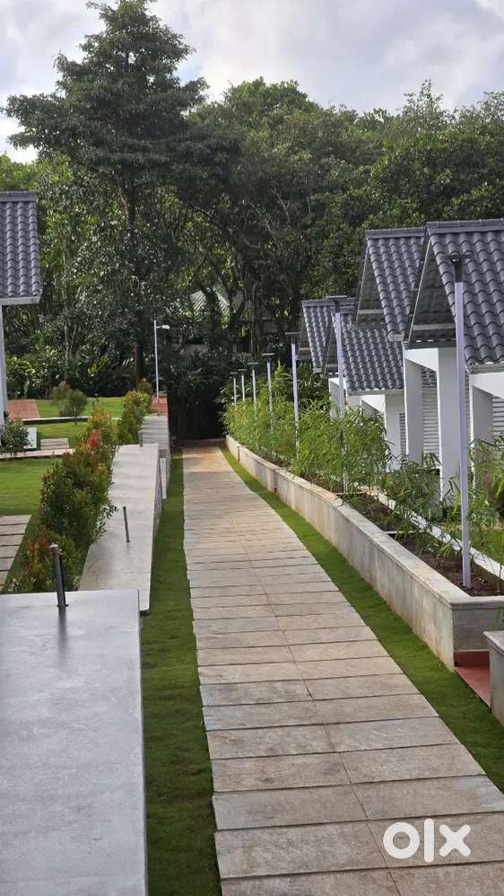 digital marketing staff