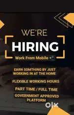 Work from home / we need serious people