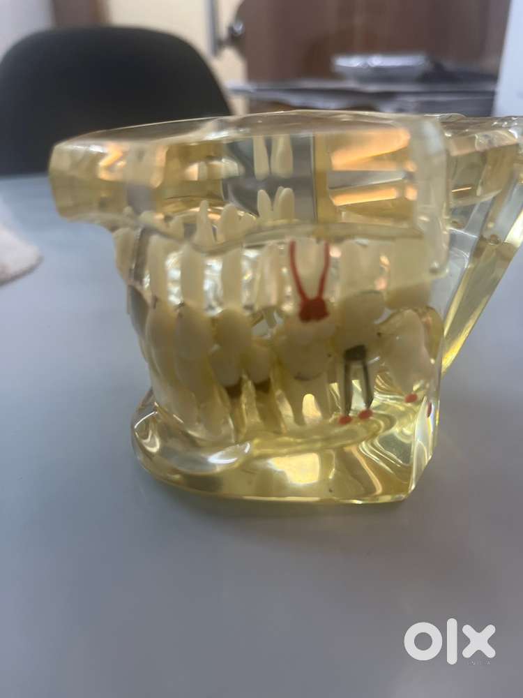 Dental assistant required in dental clinic at paldi