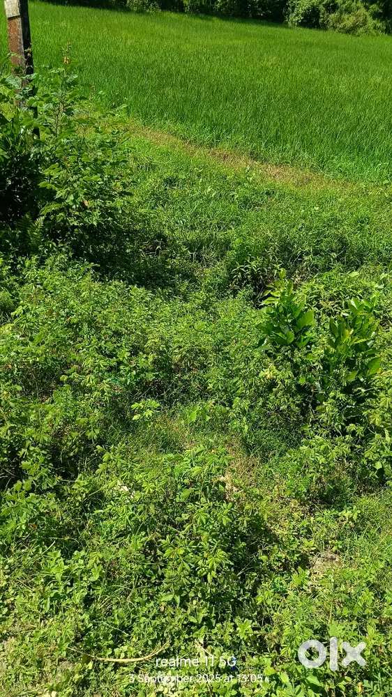 7,00000 Agent sell 2 bigha mati sakoli pathar