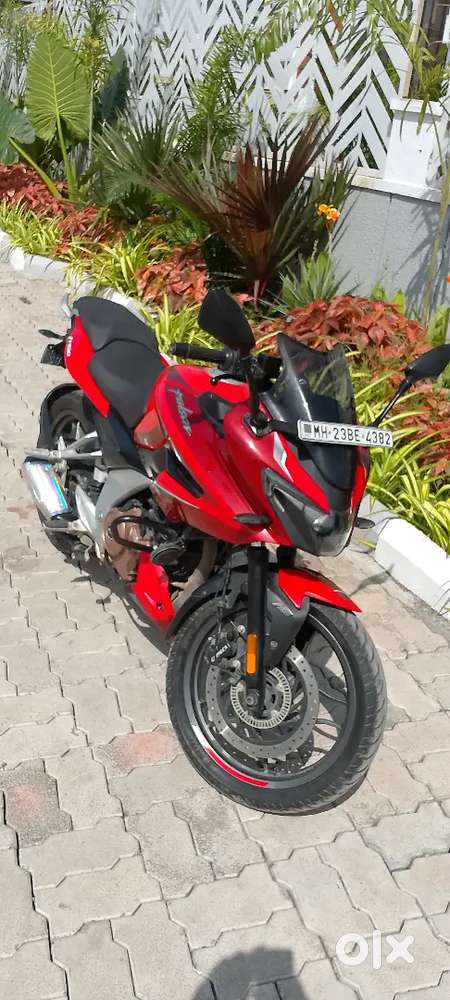 pulsar model 2022 owner 1st