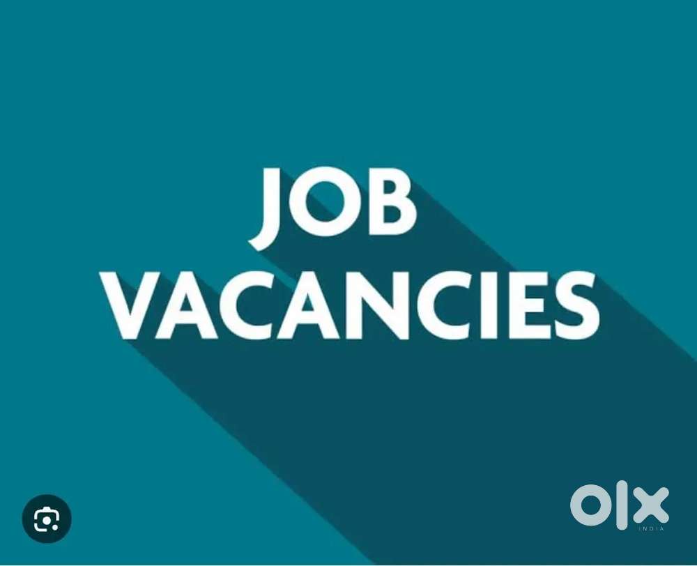 Urgent requirement in vedanta vendor JHARSUGUDA