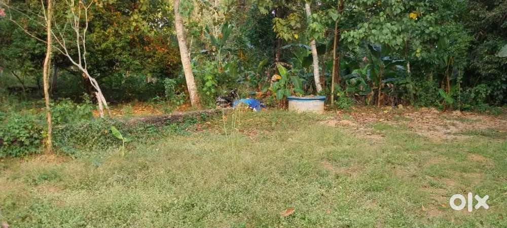 Pollution Free environment, abundant ground water, prime plot