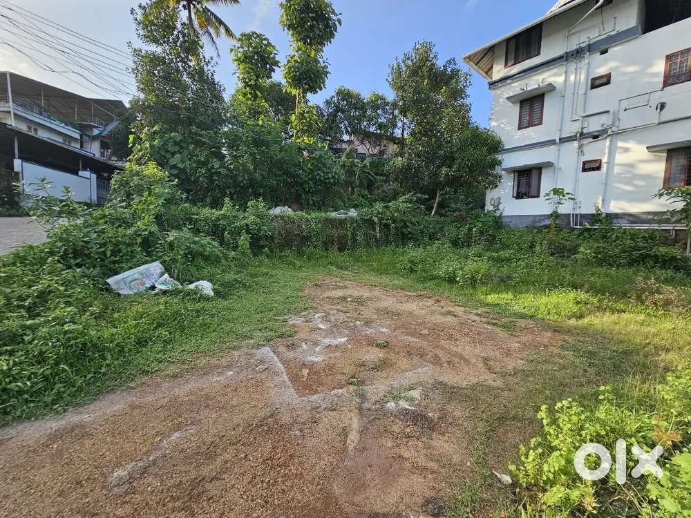 House Plots for Sale - Keezhmadu, Aluva (Near Periyarmugham Church)