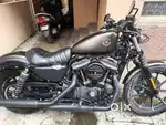 Harley Davidson Iron 883 2021