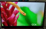 Panasonic led 43 inch smart tv