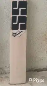 SS english willow bat surya kumar edition new bat